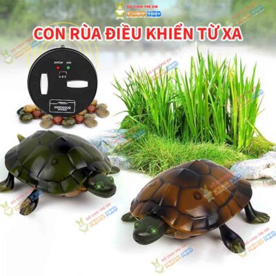 Con rùa điều khiển từ xa - kinakid 1